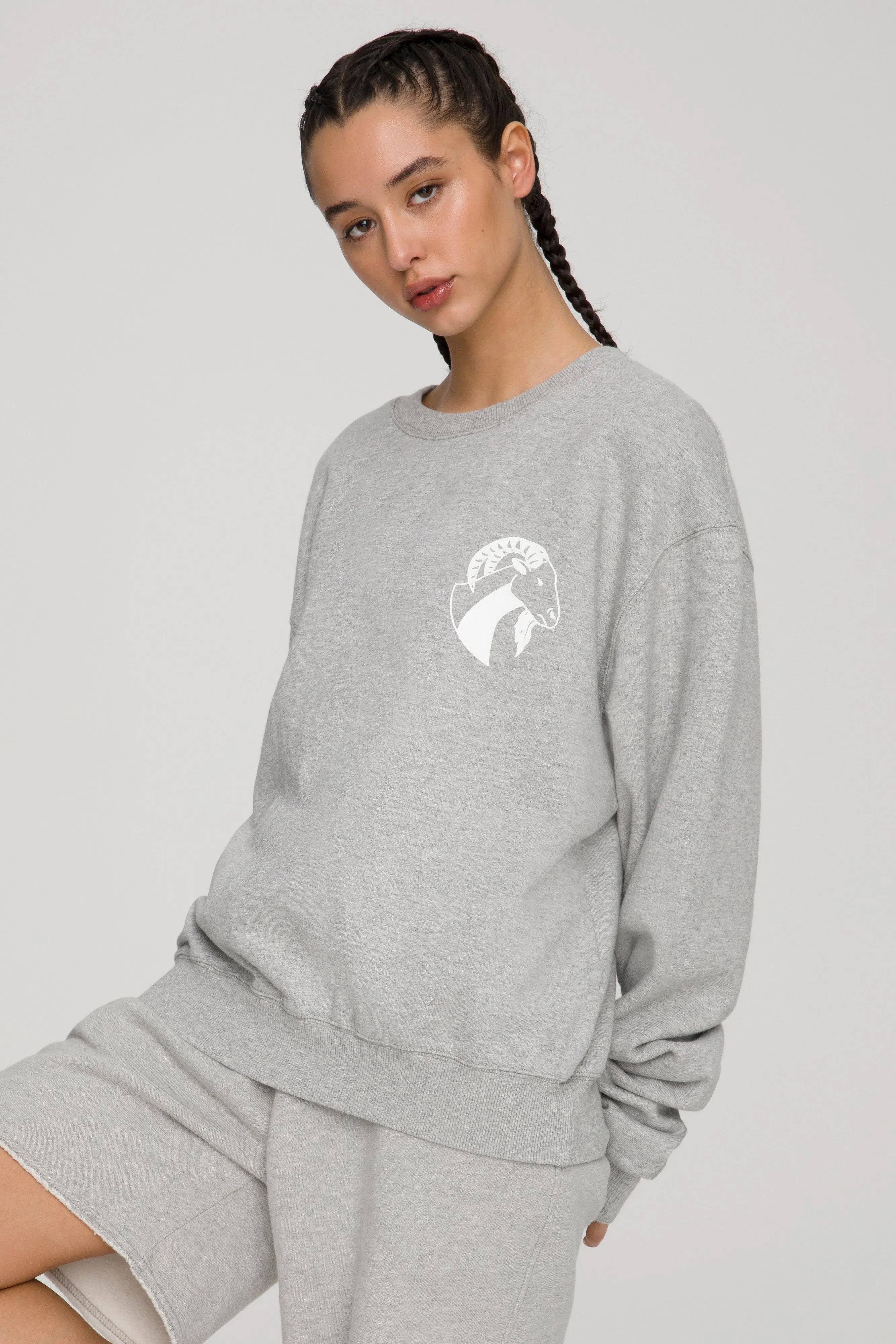 CAPRICORN BOYFRIEND SWEATSHIRT | CAPRICORN