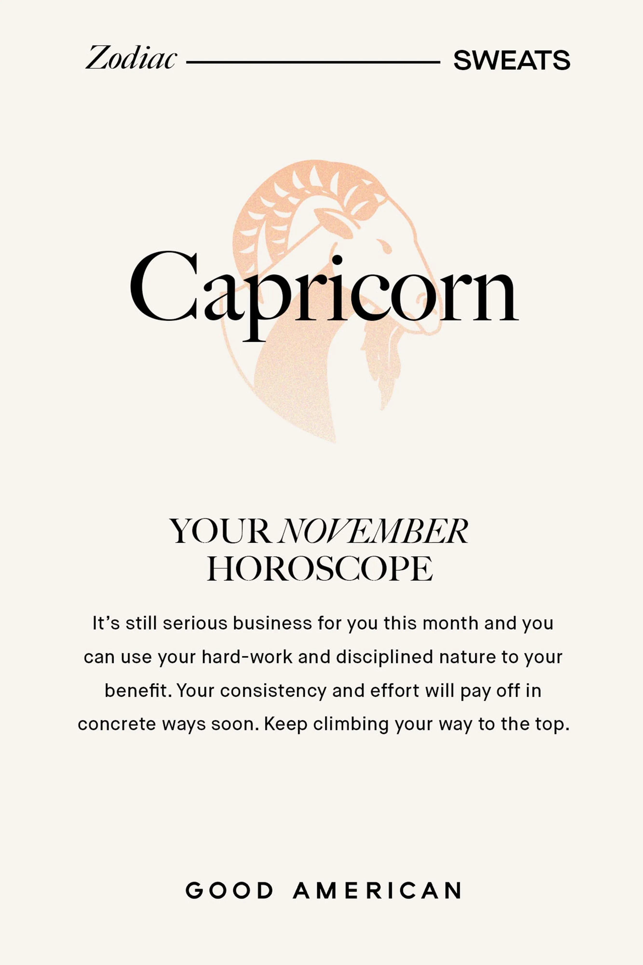 CAPRICORN BOYFRIEND SWEATSHIRT | CAPRICORN