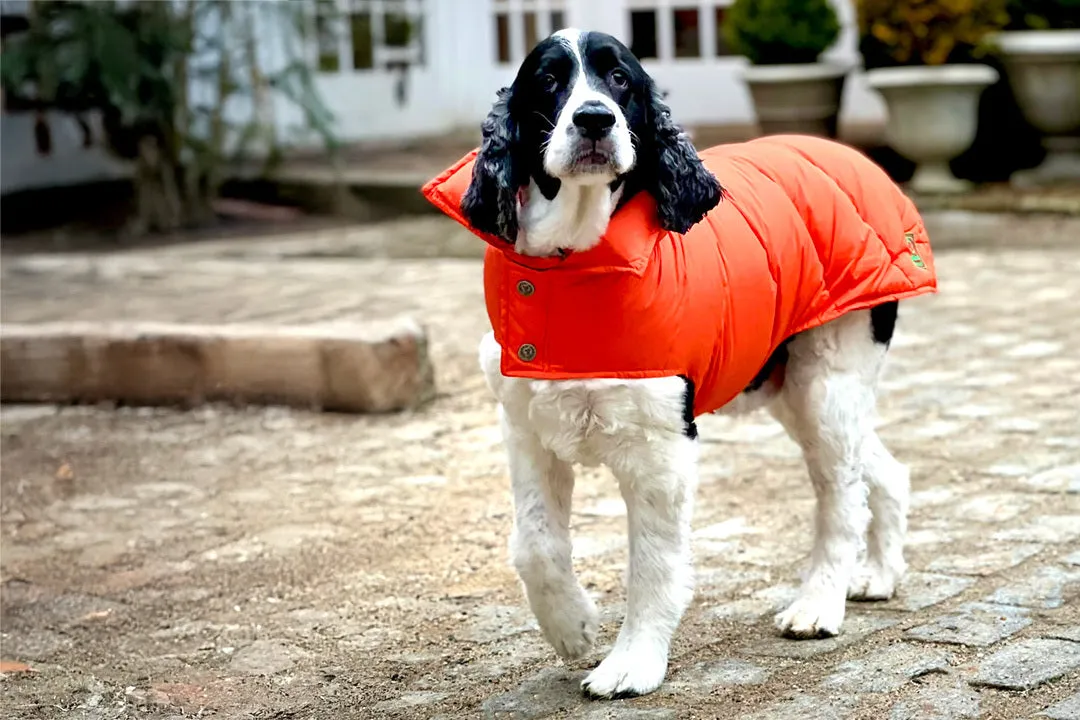 Down Puffer Coat - Orange, Loden & Black