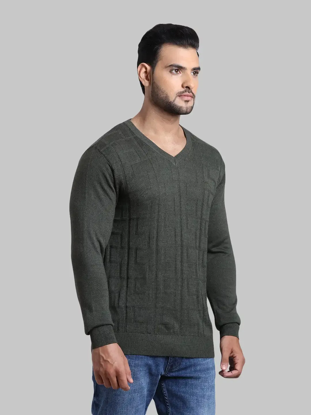 Men Green Tailored Fit Jacquard Acrylic Wool Blend Full Sleeve V Neck Collar Sweaters